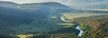 Kariega Game Reserve Settlers Drift Alexandria  Екстериор снимка