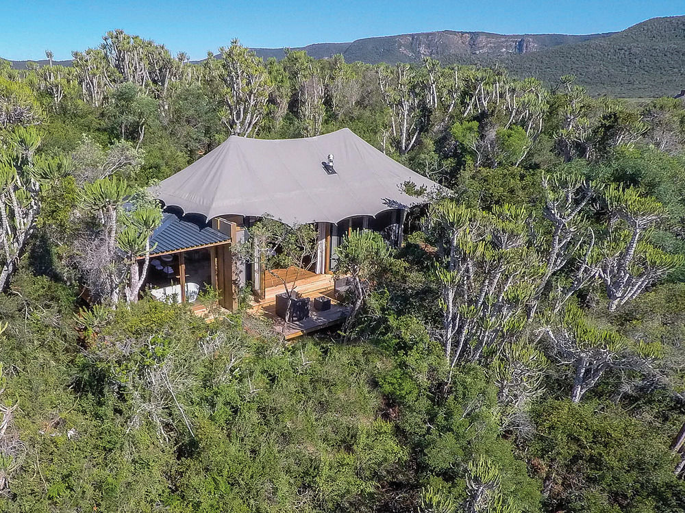 Kariega Game Reserve Settlers Drift Alexandria  Екстериор снимка