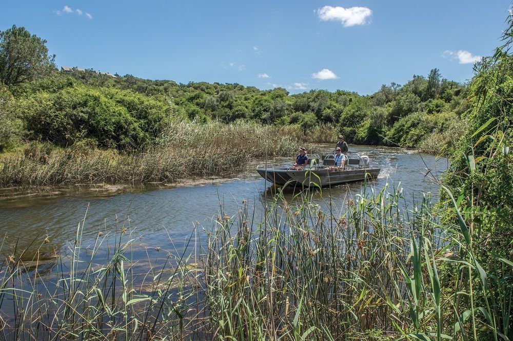 Kariega Game Reserve Settlers Drift Alexandria  Екстериор снимка