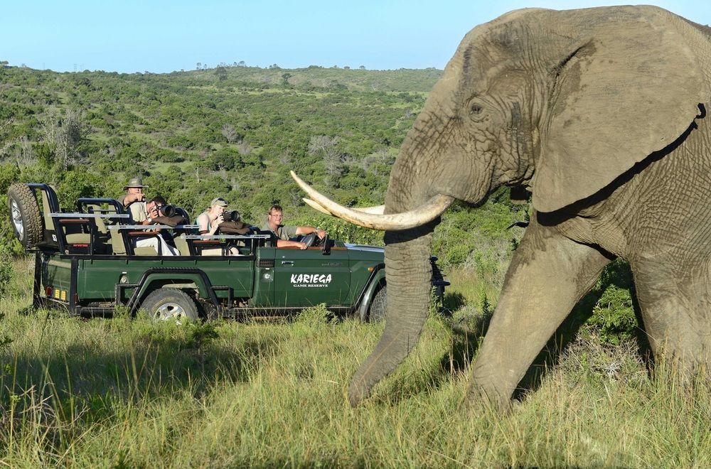 Kariega Game Reserve Settlers Drift Alexandria  Екстериор снимка